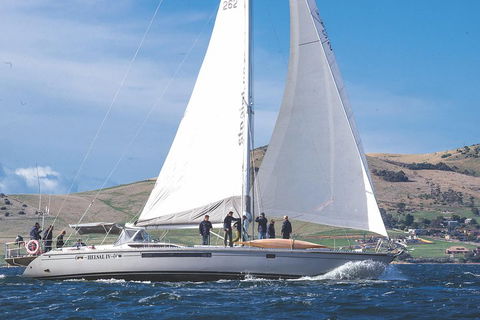 Half-Day Sailing On The Derwent River From Hobart - Accommodation Yamba 1