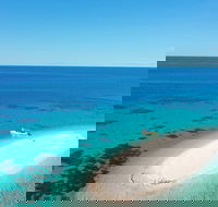 Ocean Safari Great Barrier Reef Experience in Cape Tribulation - Accommodation Yamba