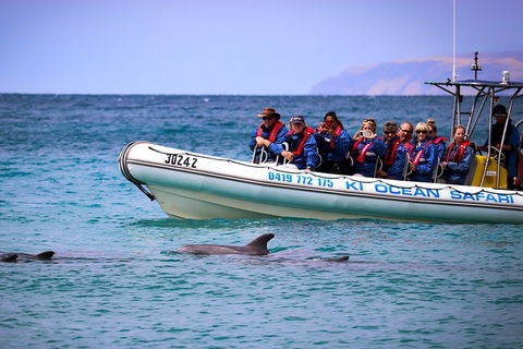 Kangaroo Island 75-Minute Ocean Safari - Accommodation Yamba 4