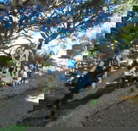 1/2 day Swan Valley Wine Cheese  Chocolate Tour Inc Afternoon Cruise to Perth - Accommodation Yamba