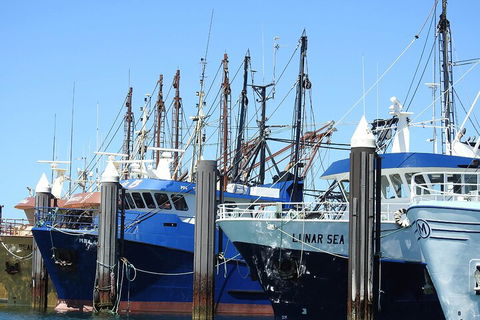 One Day Port Lincoln Tour - Tasting Eyre - Accommodation Yamba 0
