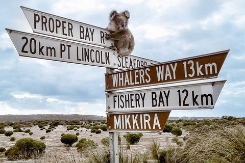 One Day Port Lincoln Tour - Tasting Eyre - Accommodation Yamba 2