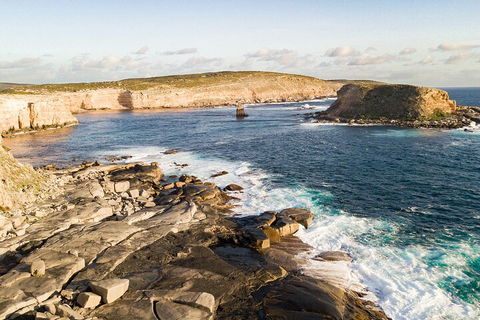 One Day Port Lincoln Tour - Tasting Eyre - Accommodation Yamba 3