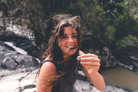 Springbrook AndTamborine Rainforest Tour Incl Natural Bridge And Glow Worm Cave - Accommodation Yamba 1