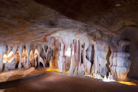 Springbrook AndTamborine Rainforest Tour Incl Natural Bridge And Glow Worm Cave - Accommodation Yamba 4