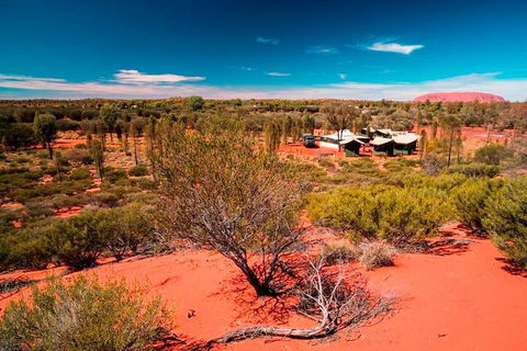 Overnight Uluru (Ayers Rock) Small-Group Camping Tour - Accommodation Yamba 2