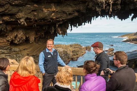 Kangaroo Island In A Day Tour From Adelaide - Accommodation Yamba 3
