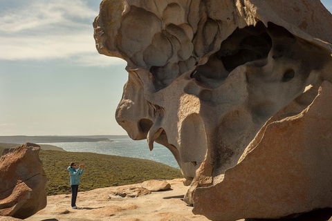 Kangaroo Island In A Day Tour From Adelaide - Accommodation Yamba 5