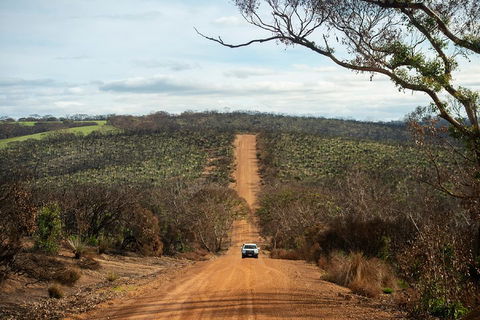 NEW TOUR - Kangaroo Island Road To Recovery Tour (1 Day/1 Night) - Accommodation Yamba 2