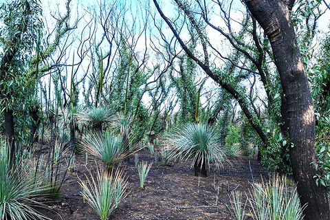 NEW TOUR - Kangaroo Island Road To Recovery Tour (1 Day/1 Night) - Accommodation Yamba 3