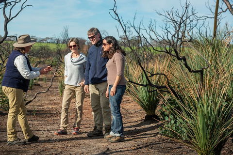 NEW TOUR - Kangaroo Island Road To Recovery Tour (1 Day/1 Night) - Accommodation Yamba 4