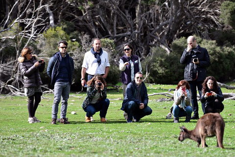 Small-Group Kangaroo Island 4WD Tour From Adelaide - Accommodation Yamba 2