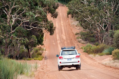 Small-Group Kangaroo Island 4WD Tour From Adelaide - Accommodation Yamba 3
