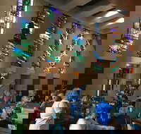 Cairns Shore Excursion Cairns City Sights  Surrounds Tour - Accommodation Yamba