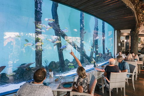 Cairns Aquarium Tour By Twilight With Drink And Appetiser - Accommodation Yamba 3