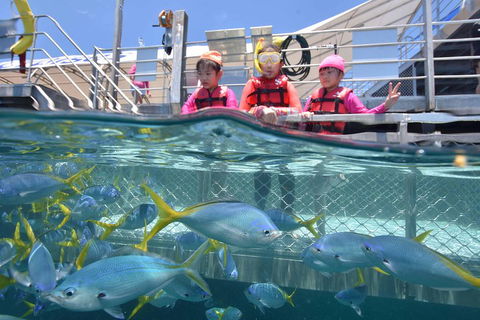 Outer Reef Pontoon Experience From Cairns - Accommodation Yamba 0