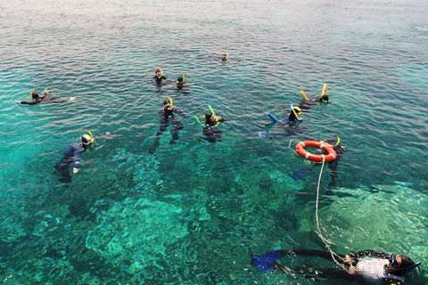 Seastar Luxury Outer Great Barrier Reef Island And Reef Tour From Cairns - Accommodation Yamba 2
