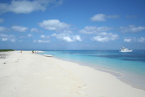 Seastar Luxury Outer Great Barrier Reef Island And Reef Tour From Cairns - Accommodation Yamba 3