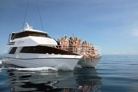 Seastar Luxury Outer Great Barrier Reef Island And Reef Tour From Cairns - Accommodation Yamba 4