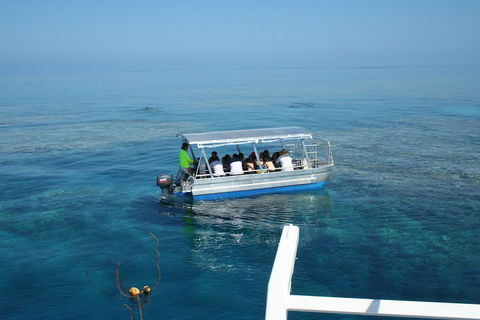 Seastar Luxury Outer Great Barrier Reef Island And Reef Tour From Cairns - Accommodation Yamba 5