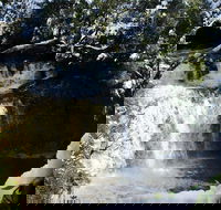 Cradle Mountain Day Tour from Launceston Including Lunch - Accommodation Yamba