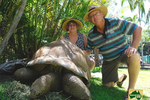 Small-Group Australia Zoo Day Trip From Brisbane - Accommodation Yamba 1
