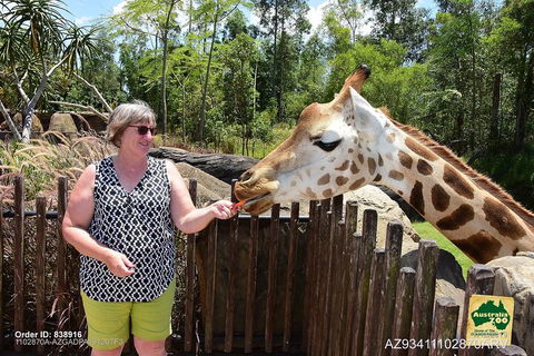 Small-Group Australia Zoo Day Trip From Brisbane - Accommodation Yamba 2