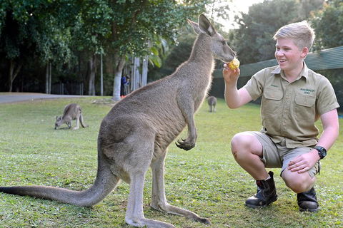 Small-Group Australia Zoo Day Trip From Brisbane - Accommodation Yamba 4