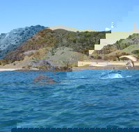 Kayaking with Dolphins in Byron Bay Guided Tour - Accommodation Yamba