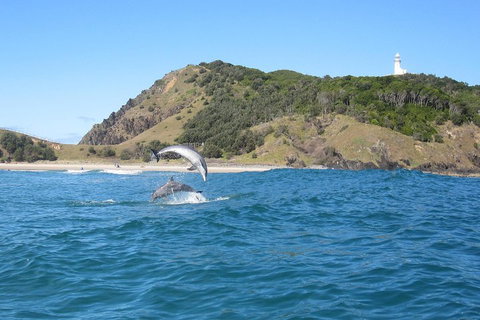 Kayaking With Dolphins In Byron Bay Guided Tour - Accommodation Yamba 0