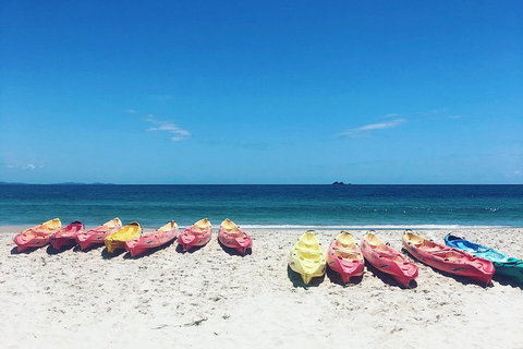 Kayaking With Dolphins In Byron Bay Guided Tour - Accommodation Yamba 1