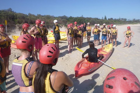 Kayaking With Dolphins In Byron Bay Guided Tour - Accommodation Yamba 2