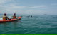Kayaking With Dolphins In Byron Bay Guided Tour - thumb 4