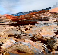 Broome City Sightseeing Tour with Optional Camel Ride - Accommodation Yamba