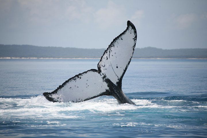Point Vernon QLD Accommodation Yamba