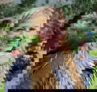 Great Ocean Road Reverse Itinerary with 12 Apostles from Melbourne - Accommodation Yamba