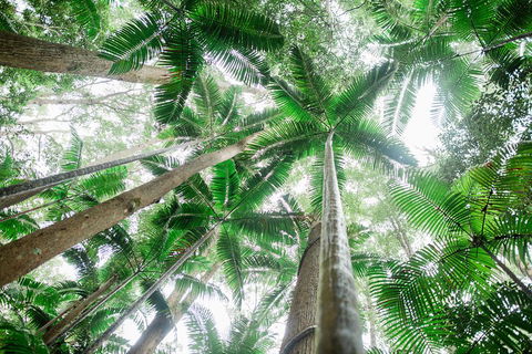 Fraser Explorer K'gari 2-Day Tour - Accommodation Yamba 2