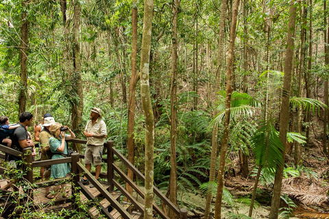 Fraser Explorer K'gari 2-Day Tour - Accommodation Yamba 5