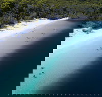 All-Inclusive Fraser Island Day Tour - Accommodation Yamba