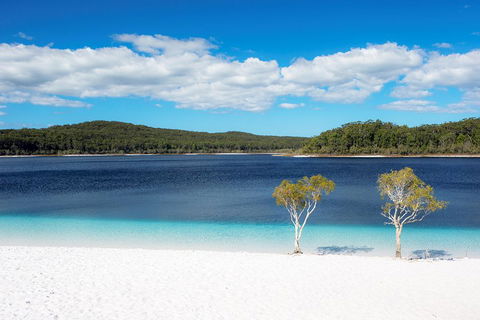 All-Inclusive Fraser Island Day Tour - Accommodation Yamba 3