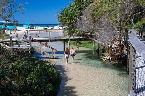 All-Inclusive Fraser Island Day Tour - Accommodation Yamba 4
