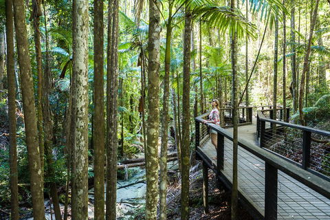 All-Inclusive Fraser Island Day Tour - Accommodation Yamba 5