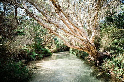 3-Day Fraser Island Resort Package - Accommodation Yamba 5