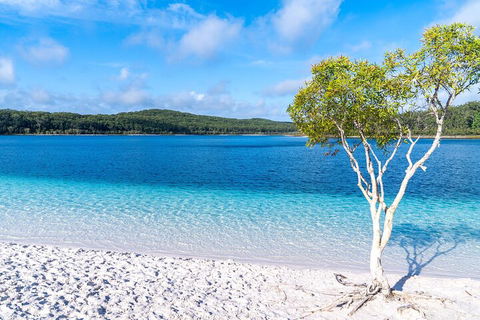 Lake McKenzie Full-Day Tour With Lunch From Hervey Bay - Accommodation Yamba 1