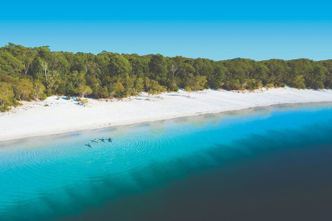 Lake McKenzie Full-Day Tour With Lunch From Hervey Bay - Accommodation Yamba 4