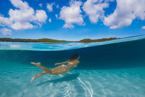 Lake McKenzie Full-Day Tour With Lunch From Hervey Bay - Accommodation Yamba 5