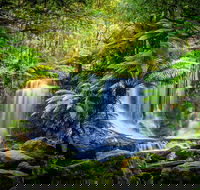 Day Tour in Mt. Field Mt. Wellington Bonorong Wildlife Sanctuary and Richmond - Accommodation Yamba
