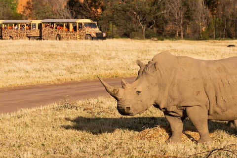 Sunset Safari At Werribee Open Range Zoo - Accommodation Yamba 1