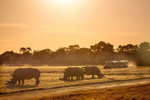Sunset Safari At Werribee Open Range Zoo - Accommodation Yamba 2