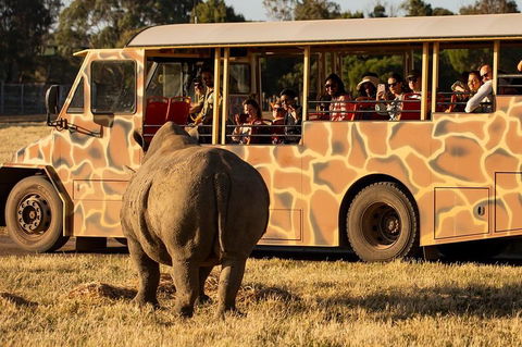 Sunset Safari At Werribee Open Range Zoo - Accommodation Yamba 5